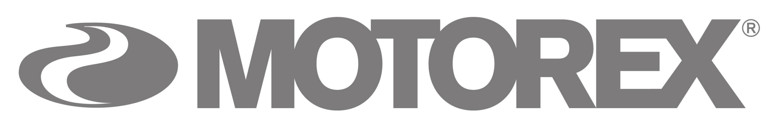 Bild_Website_Grey_logo